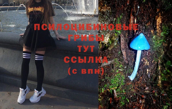 крисы Алзамай