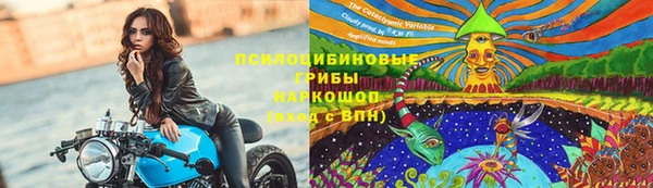 крисы Алзамай