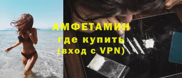 крисы Алзамай