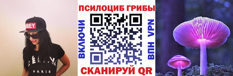 MEGA как войти цена наркотик Кириши Псилоцибиновые грибы Magic Shrooms